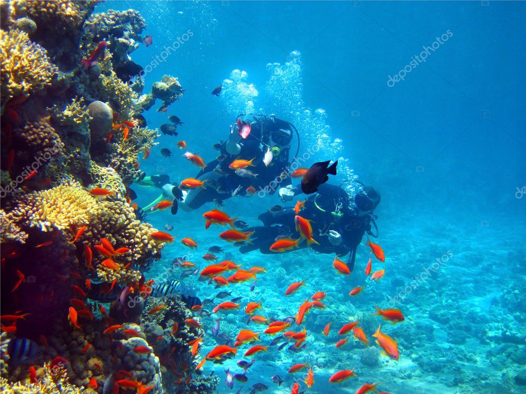 Prüfung und Wartung von Tauchflaschen